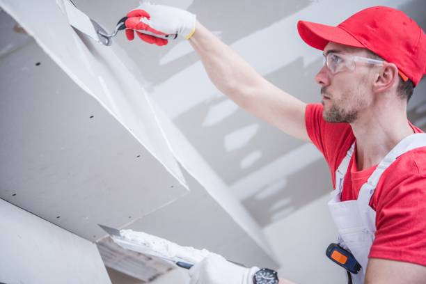 Newville, PA Mold Removal Company